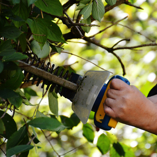 Info an unsere Pächter bzgl. Gartenbegehung